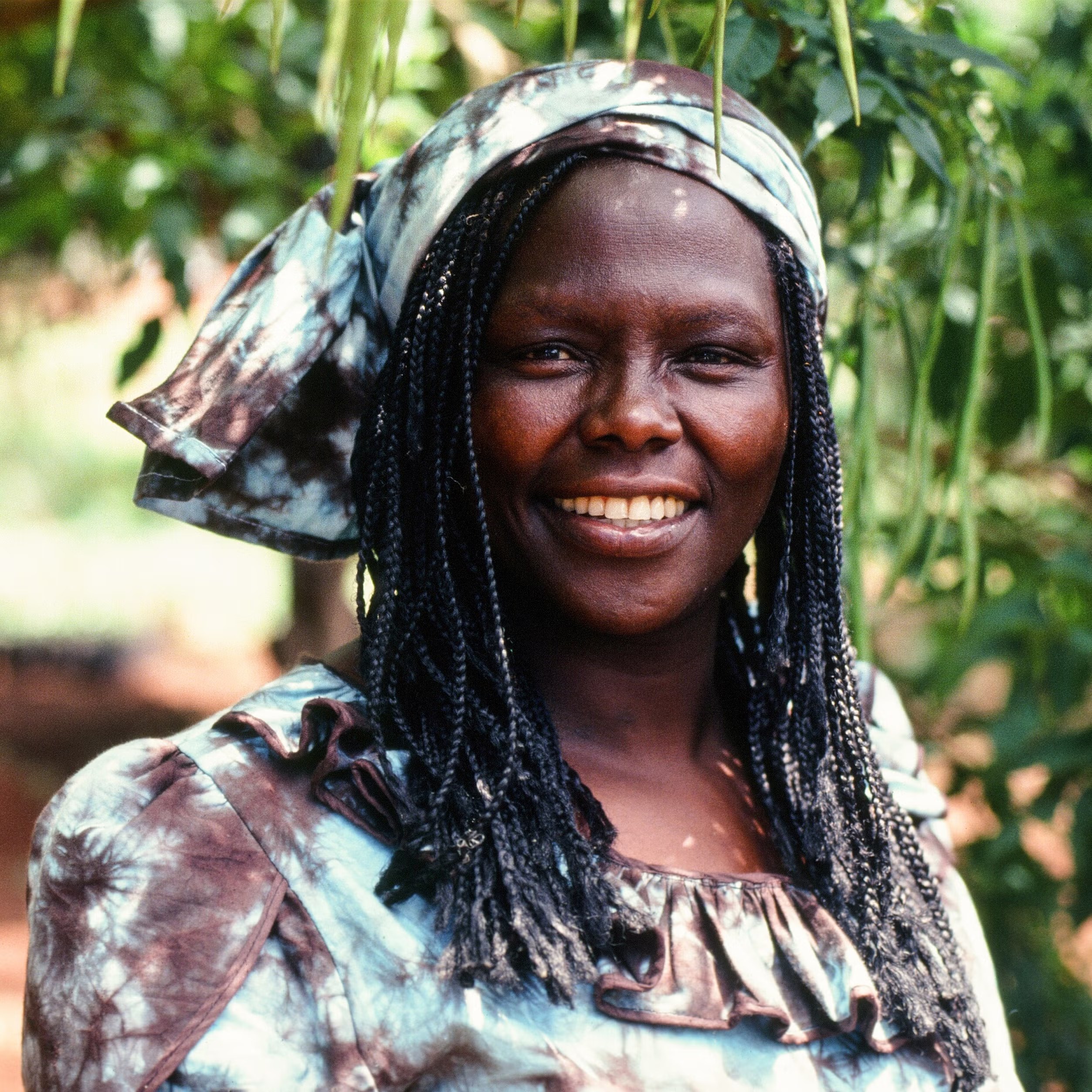 Wangari Maathai alternate portrait